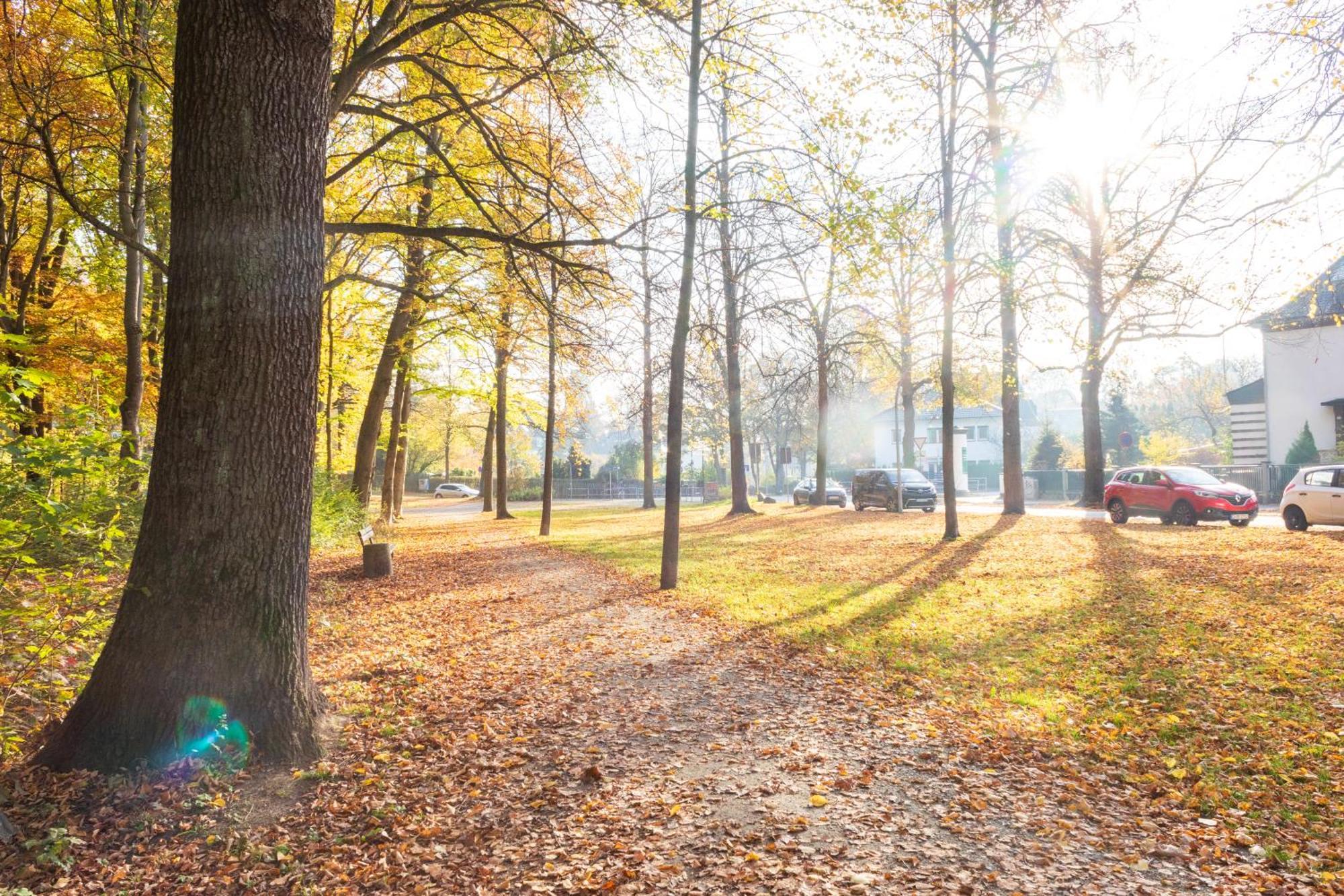 Stadtnatur Apartment Am Kuechwald - Mit Balkon, Streaming-Tv, Badewanne, Arbeitsplatz Chemnitz Luaran gambar